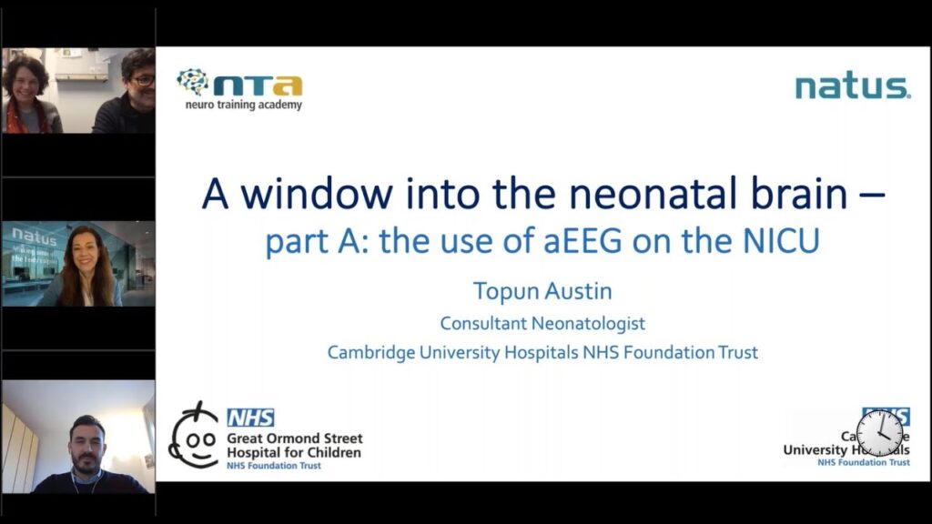 A window into the neonatal brain the use of aEEG and EEG on the NICU - use of AEEG on the NICU