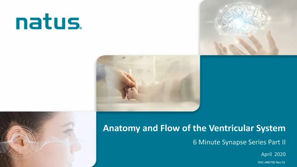Anatomy and Flow of the Ventricular System - Principles of ICP, Part II
