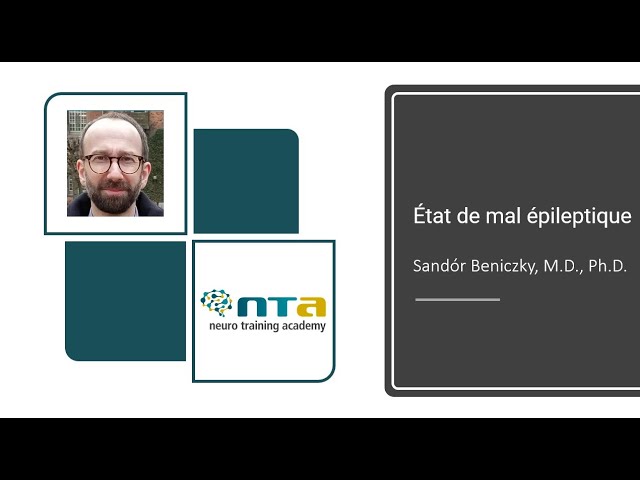 État de mal épileptique