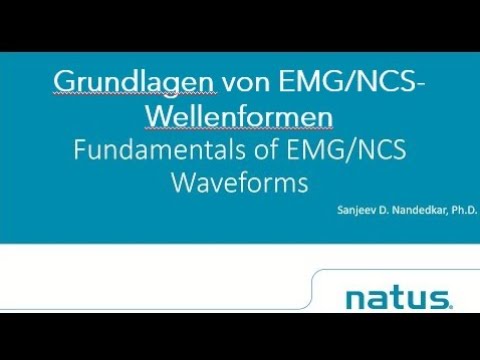 Grundlagen von EMG/NCS Wellenformen