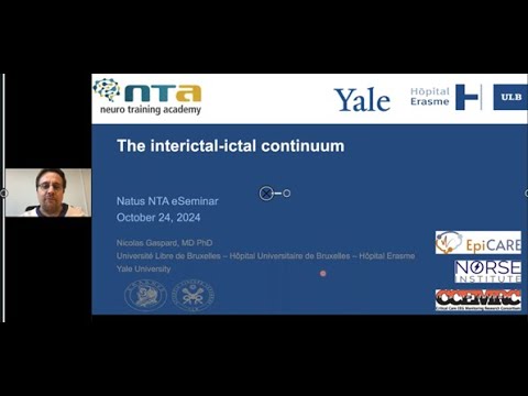 Ictal-Interictal Continuum
