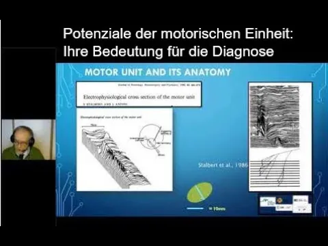 Potenziale der motorischen Einheit Ihre Bedeutung für die Diagnose