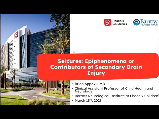 Seizures - Epiphenomena or Contributors of Secondary Brain Injury