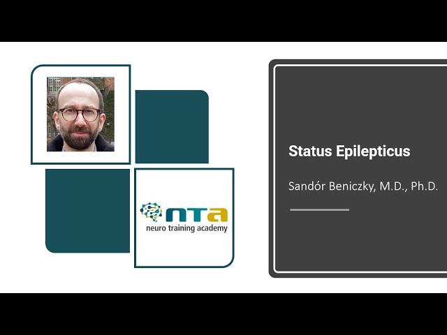 Status Epilepticus DE